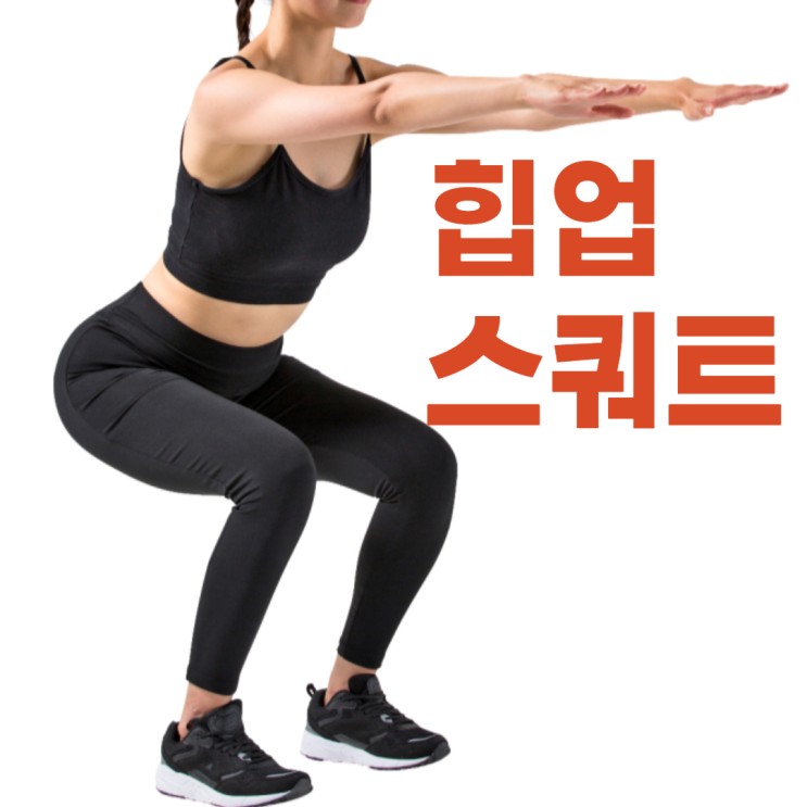 스쿼트 자세 운동효과 엉뽕 엉덩이 힙업 운동 따라하기 힙스쿼트 효과 당뇨 혈당관리