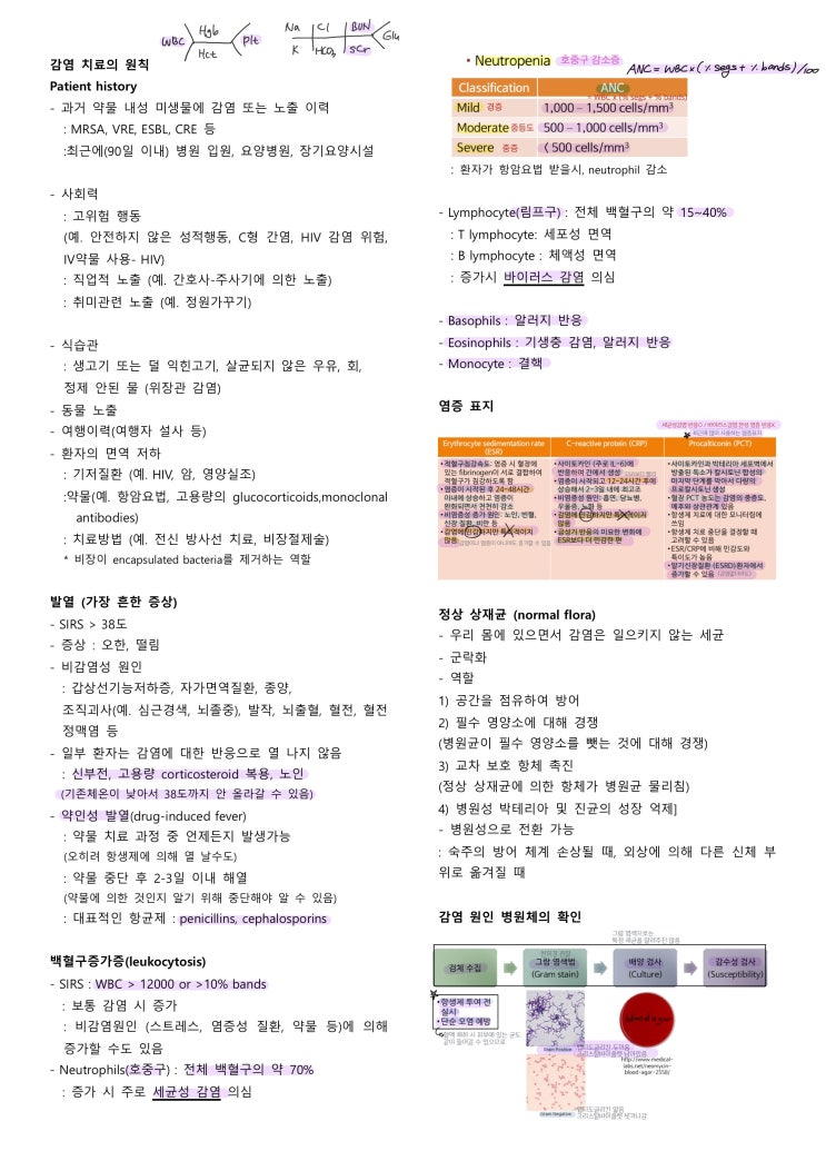 약물치료학 2 정리 -2
