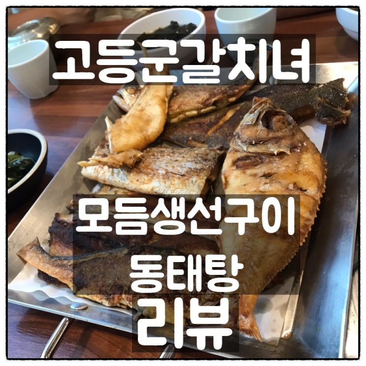 생선구이전문점 유천동 '고등군갈치녀' - 모듬생선구이 & 동태탕 깔끔리뷰