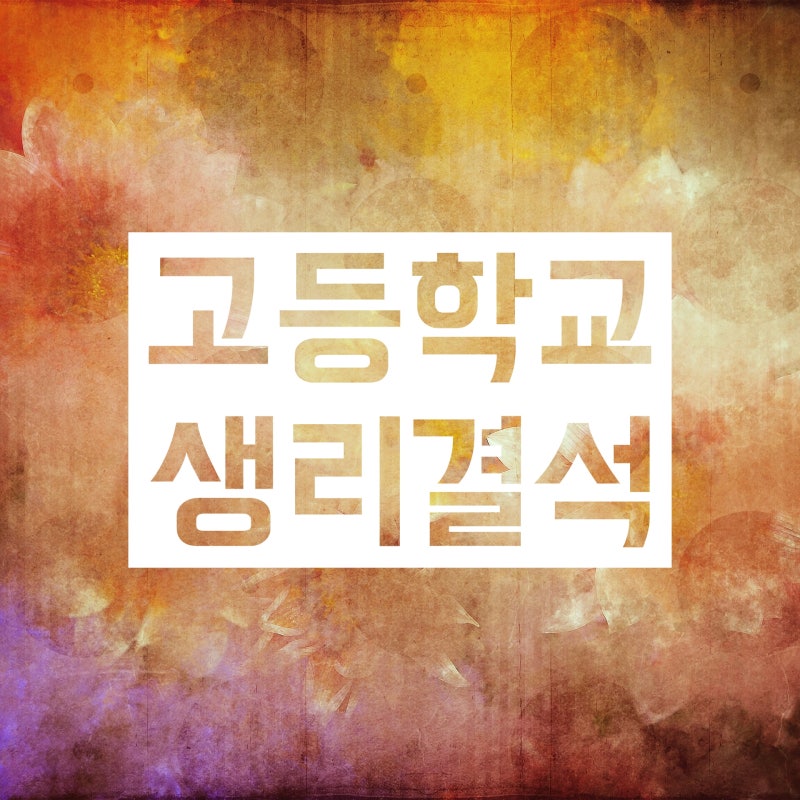 고등학교 생리결석 제도로 출석인정 받는 절차 소개! : 네이버 블로그 고등학교 생리결석 제도로 출석인정 받는 절차 소개! : 네이버 블로그