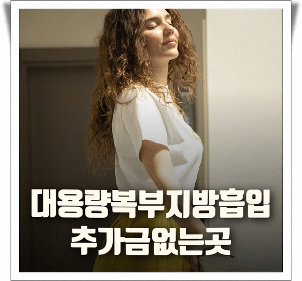  대용량복부지방흡입 추가금 없는곳