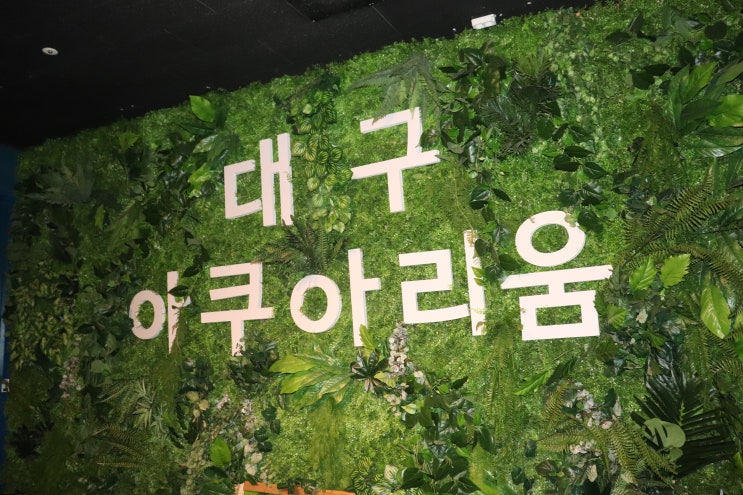  ( 대구 아쿠아리움 ) 대구놀거리로 아이와 함께 매우 만족할만한곳!