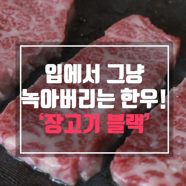  수지한우 장고기블랙 입에서 그냥 녹아버리는 소고기