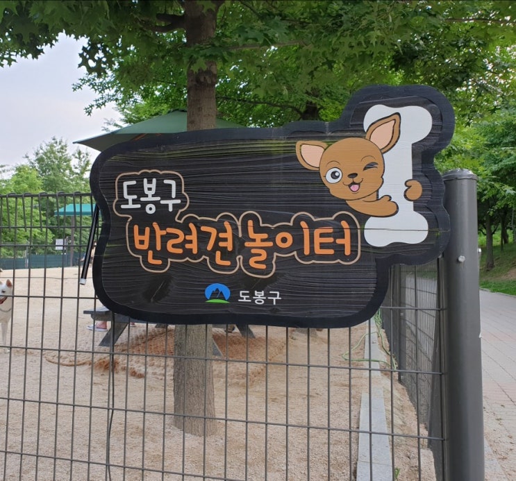  도봉구 창동 초안산 공공 반려견놀이터 /이용시간&주차/6월 반려견 문화교실운영일정