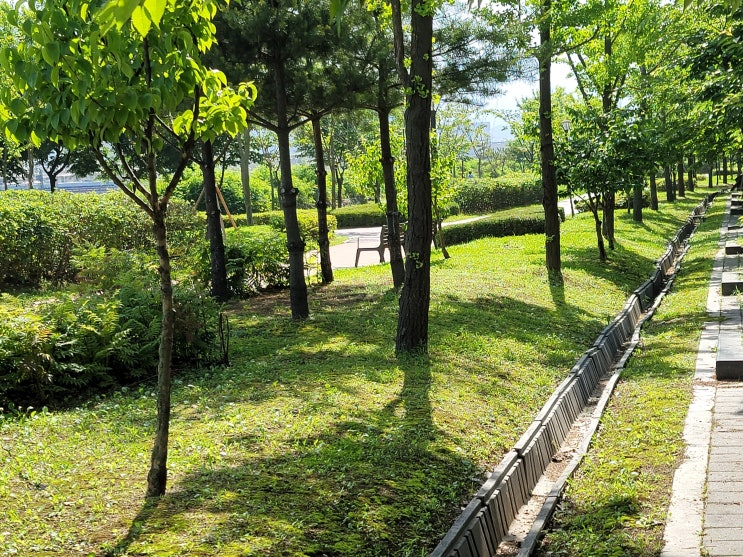  전동킥보드공유 일산 빔,지쿠터,스윙,라임 요금제는?