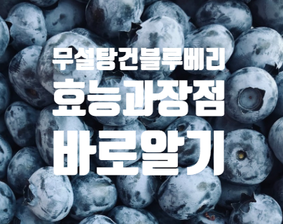  무설탕 건블루베리 세계 10대 슈퍼푸드 효능 장점 잘 알고 먹기!