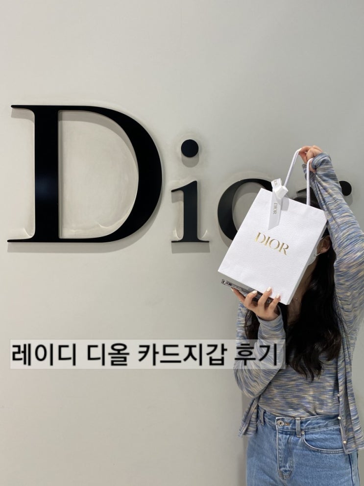  레이디 디올 카드지갑 (아코디언) 후기 스톤그레이 까나쥬