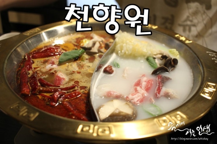  [서울시청 맛집] 명동 훠궈 무한리필 천향원
