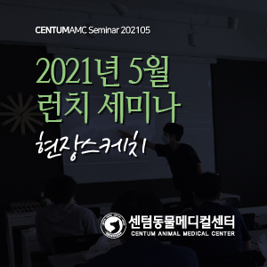 2021년 5월 수의사 런치 세미나 현장스케치 (수영 센텀동물메디컬센터)