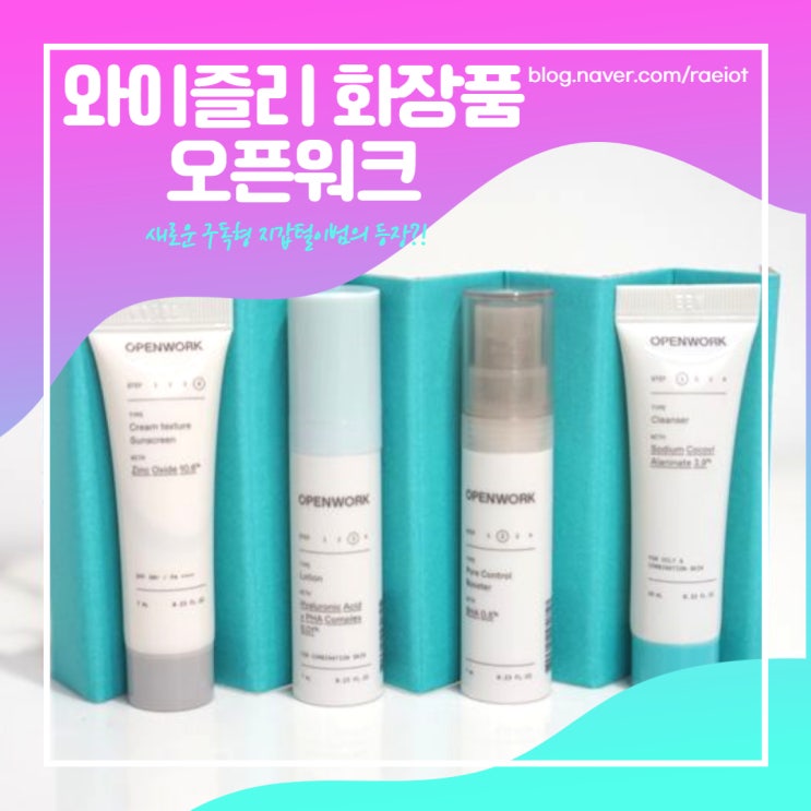  와이즐리 이제는 화장품으로 진격한다 - 구독형 남성 화장품 오픈워크