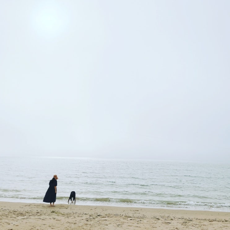  주말 #심플여행 _ #선유도해수욕장