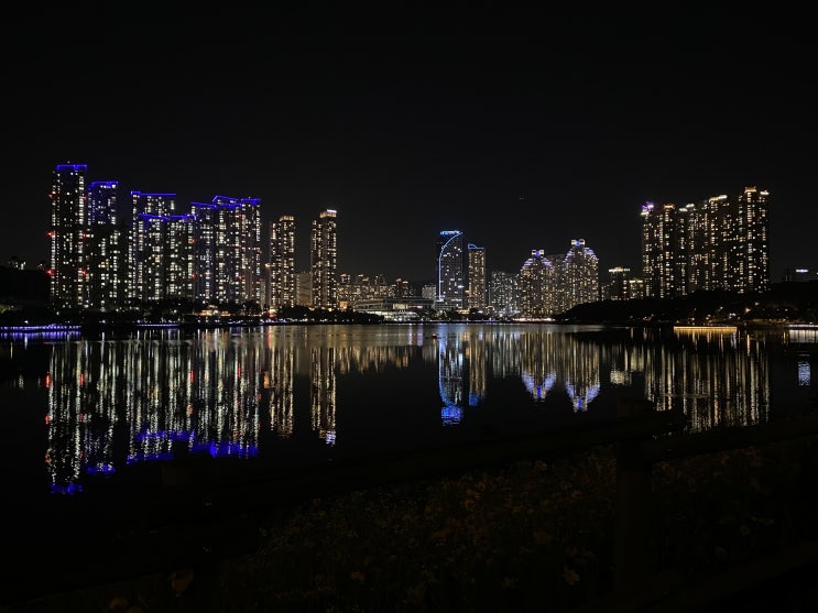 [수원] 광교 호수공원, 밤 산책하기 딱 좋은 야경 맛집