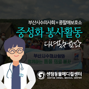  이승용 외과원장, 부산시수의사회×콩할매보호소 중성화 봉사활동 다녀왔어요
