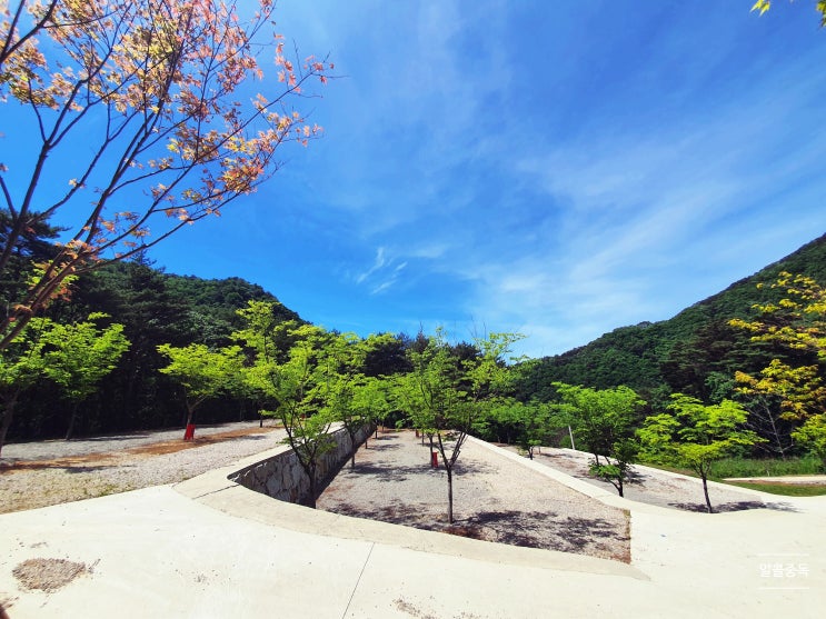 진동리국민여가캠핑장(21.06.12~21.06.13)