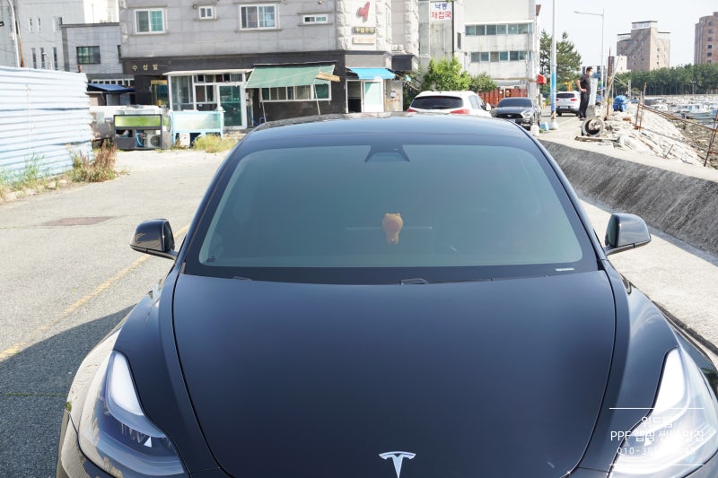 부산 강서구 / 썬팅 / 테슬라 / 모델3