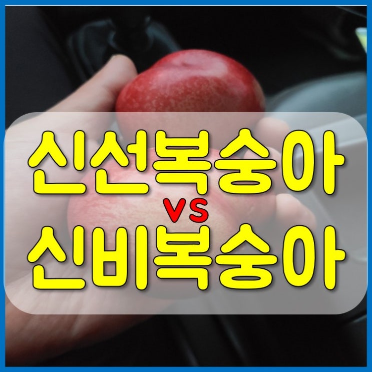  신비복숭아 vs 신선복숭아 차이점