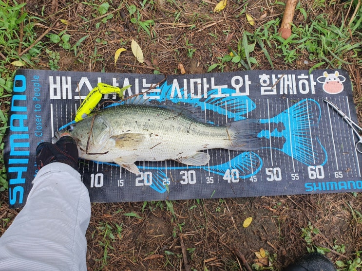  [충청권] 빅베이트 챙겨서 배스랑 데이트!! 고고!!