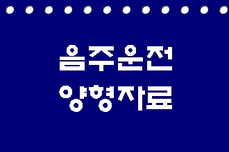  음주운전 초범 벌금 감경 양형자료