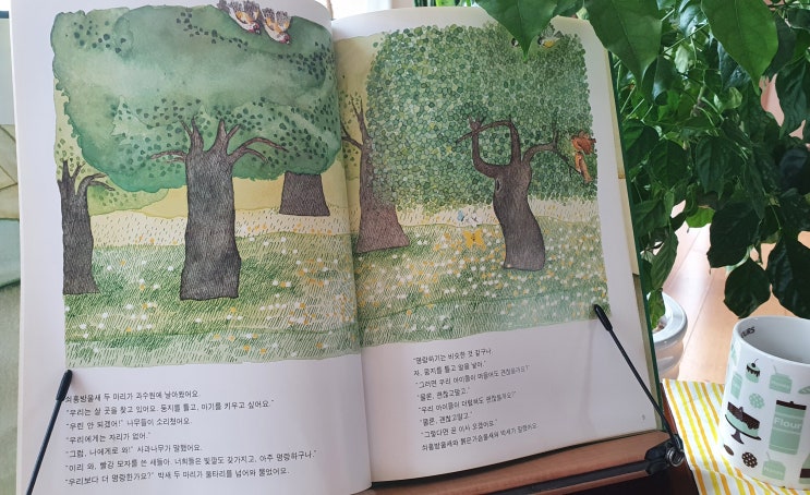  더비비고 건강공식 독서릴레이 6일, 사과나무