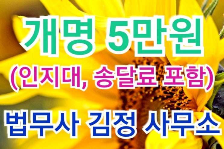  서울 동부, 남부, 안산, 경주 법원 최근 개명허가 사례