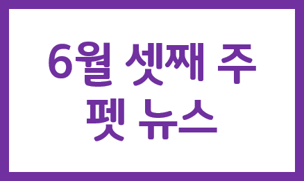  6/3주차 펫뉴스_ [거제] 해수욕장 7월 3일 개장...반려동물 출입 금지