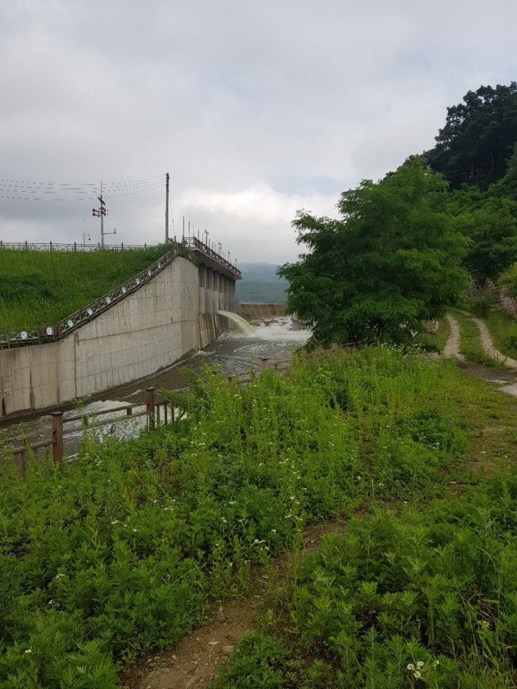  강화도 내가저수지(고려저수지) 배스낚시