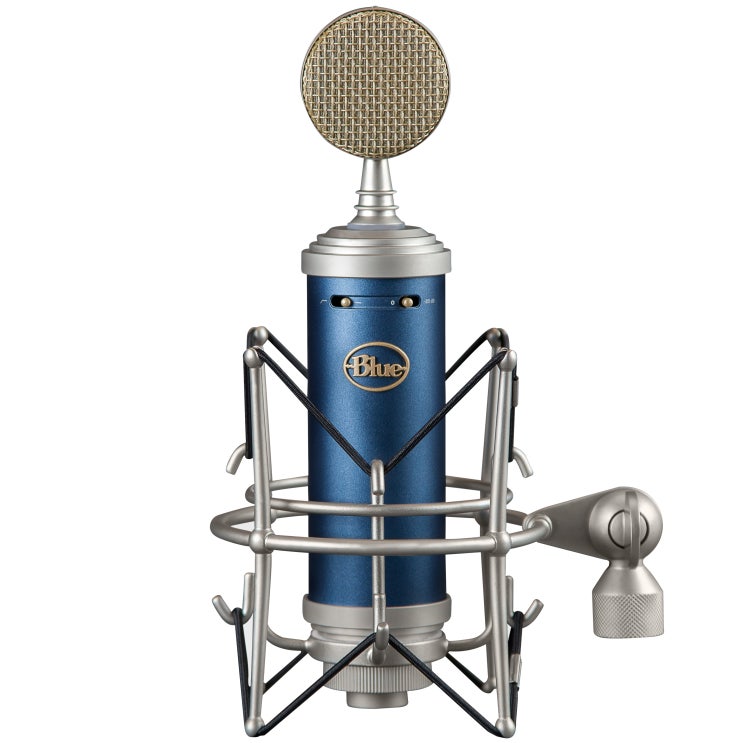 요즘 인기있는 BlueMicrophones 보컬 및 레코딩용 유선마이크 실버블루, BLUEBIRD SL 추천합니다