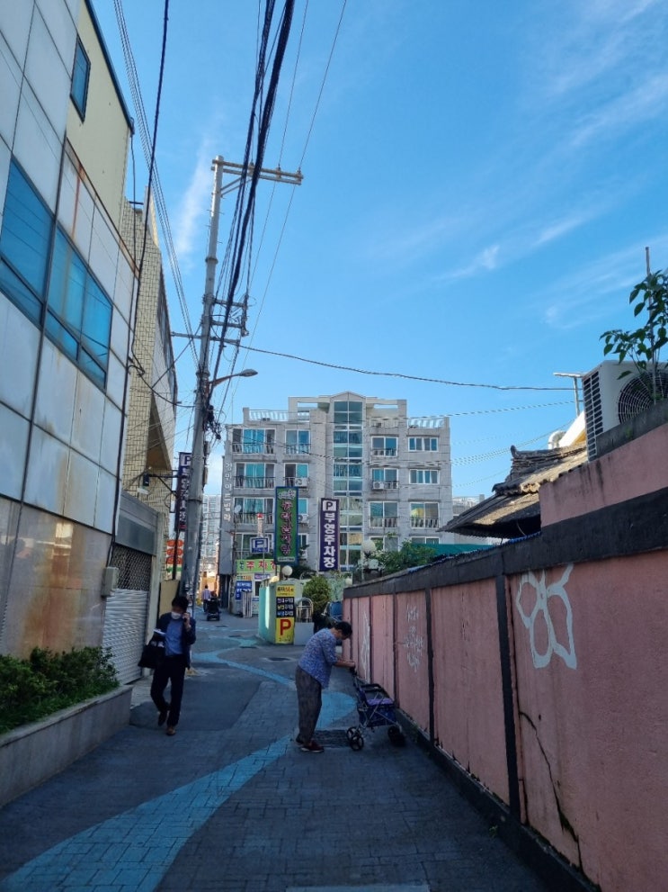  부산 동래 삼계탕 맛집 : 배종관 동래 삼계탕