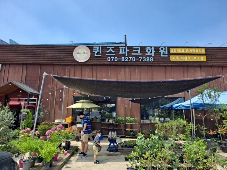  동탄 모종 파는 곳, 퀸즈파크화원