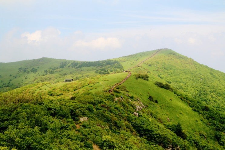  소백산 천상화원에 반하다