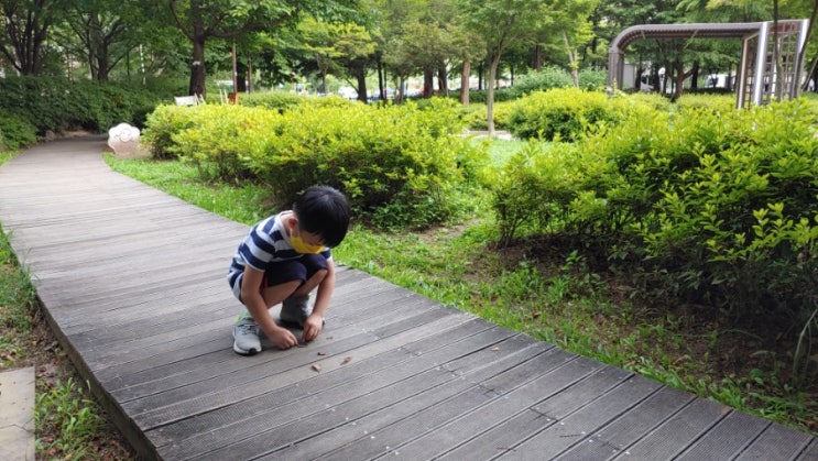  대한민국 아빠 육아, 직장인 아빠 육아, 아빠 육아 생각, 아이의 디테일 공감 : 아빠가 관찰하는 "아이들의 디테일" & 아이의 자신감 뒤에 뒤를 봐주는 아빠가 있다, 나비효과~