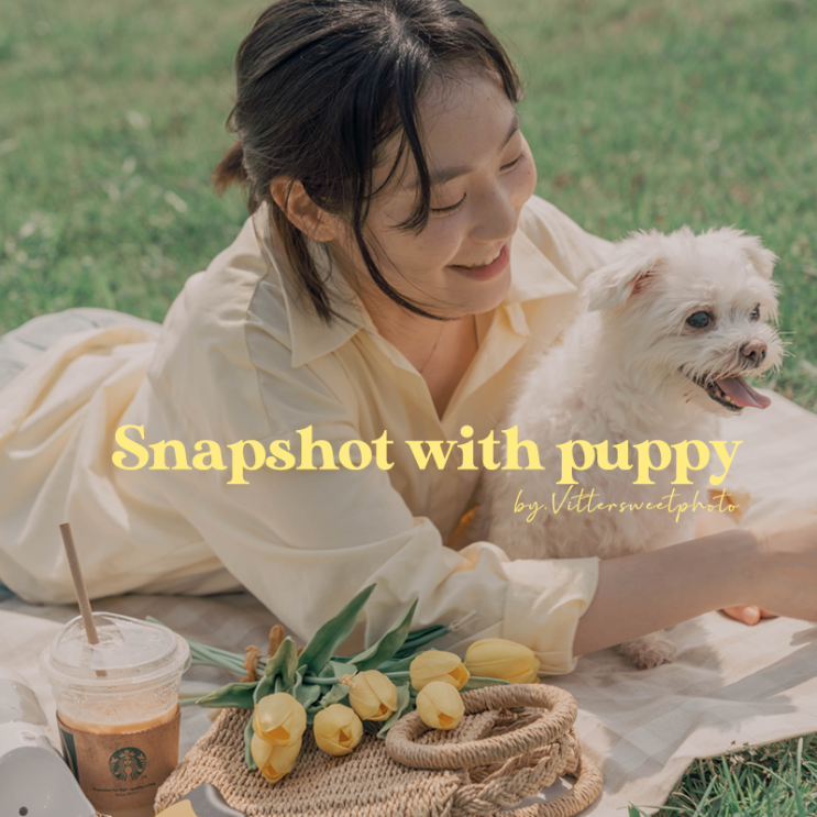   [여름스냅/반려견스냅] 올림픽공원 여름 스냅 / 반려견 동반 스냅 / 애견 스냅 / vittersweetphoto by.vivajisu