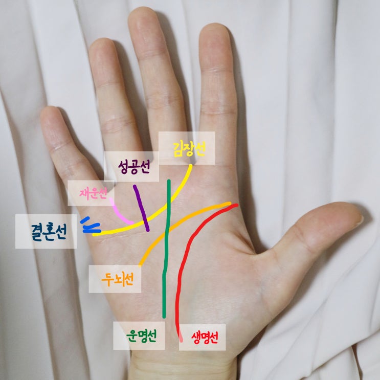  여자 손금 보는법으로 생명선, 재물선, 부자손금 m자를 찾아봐요