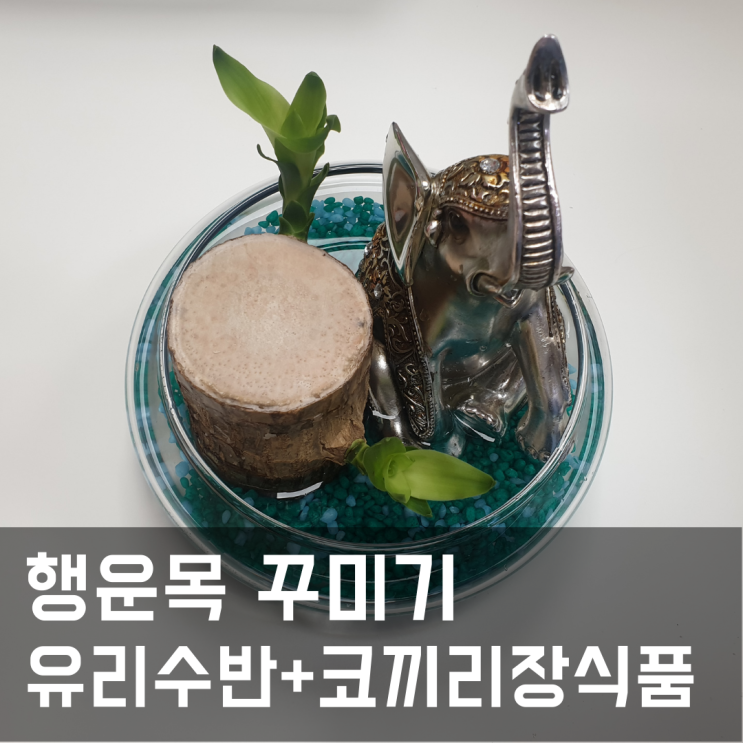  행운목 꾸미기(오아시스에 앉아 쉬고 있는 코끼리)