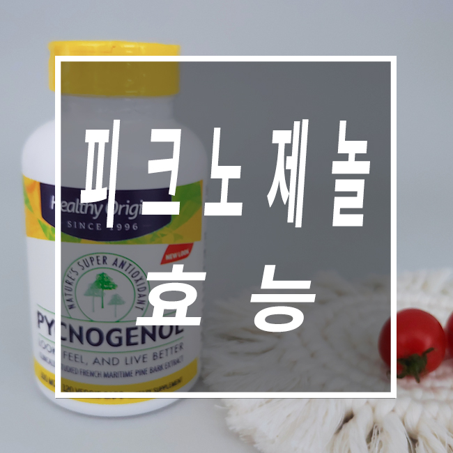  피크노제놀효능 강력한 항산화효과 갱년기증상완화