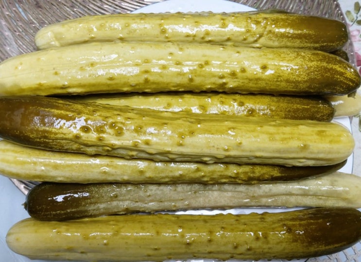 오이지 담그는법 물소금 비율 재래식 요즘식 혼합방법 오이효능 여름제철 야채 오이지 담그는법 물소금 비율 재래식 요즘식 혼합방법 오이효능 여름제철 야채