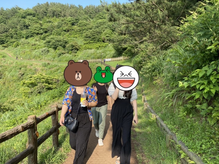  제주살이 올레길 쉬고 친구 만나기