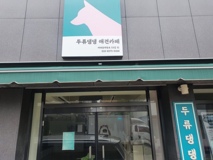  [모리코트 시공] 애견 상업시설/대구 두류동 "두류댕댕"/애견 유치원/애견카페/모리코트 펫런매트 아이보리/애견매트/논슬립 매트/슬개골 탈구 예방