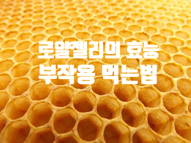  로얄젤리 효능 부작용 (ft. 영양성분 로얄제리 먹는 법)