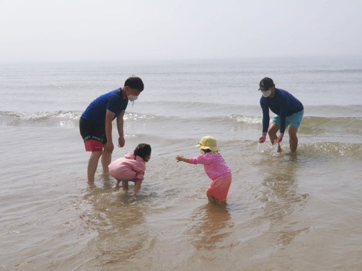  신두리해수욕장 태안 아이와 가볼만한곳