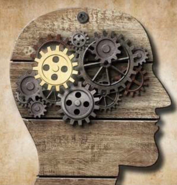 질환) 인격장애 /Personality Disorders / Cluster A(편집성 인격장애, 분열성 인격장애, 분열형 인격장....