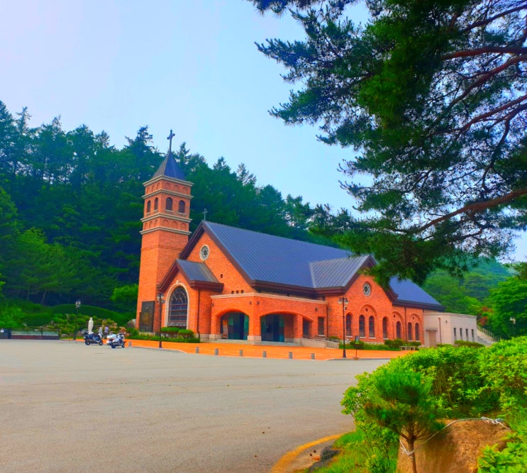  바이크여행 베티성지 근방 맛집