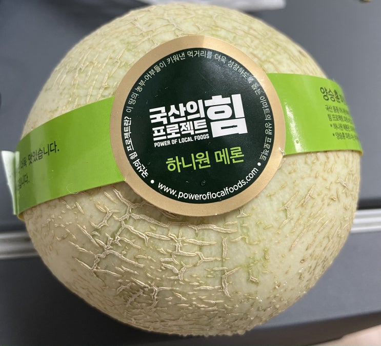  하니원 메론! 6월 지나면 못먹는 멜론 이마트 메론