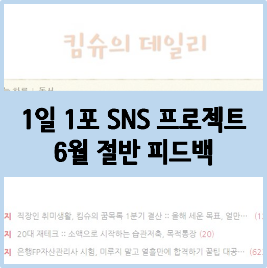 [1일 1포 프로젝트] 킴슈의 6월 절반 피드백 :: 애드포스트 수익, 인기글, 포스팅 계획