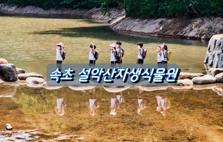 코로나시대 속초 설악산자생식물원 힐링여행 코로나시대 속초 설악산자생식물원 힐링여행