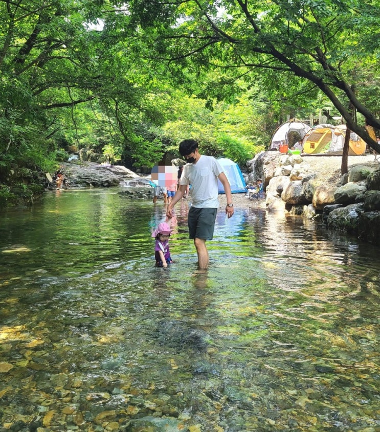  김해 장유 대청계곡_ 경남 계곡 추천/ 3번 간 후 핫스팟 위치