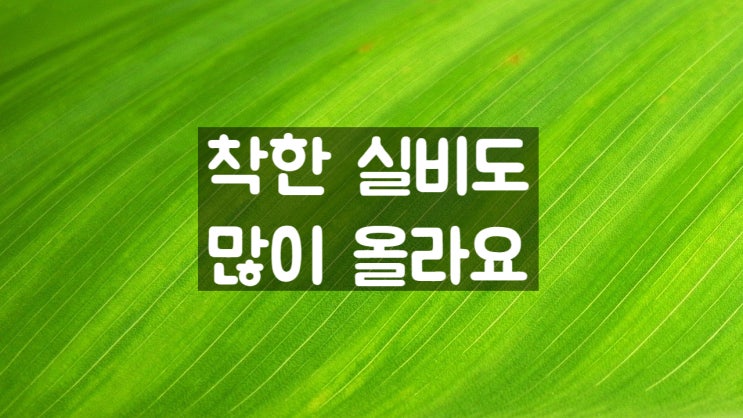  착한 실비 보험 전환 후 내년에는 어떻게 되나?