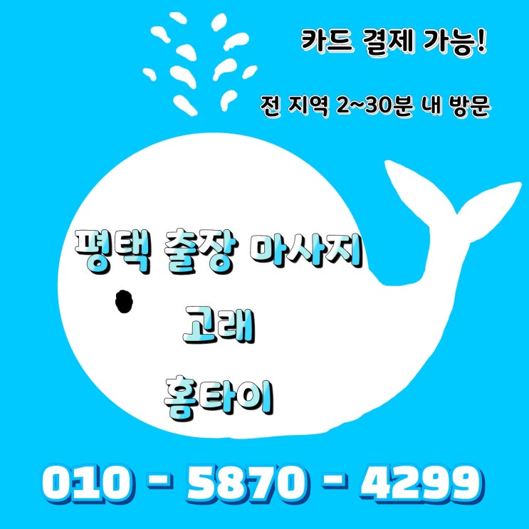  평택출장마사지 평택동 지제동 소사동 지산동 합정동 비전동 서정동 세교동 진위면 서탄면 홈타이