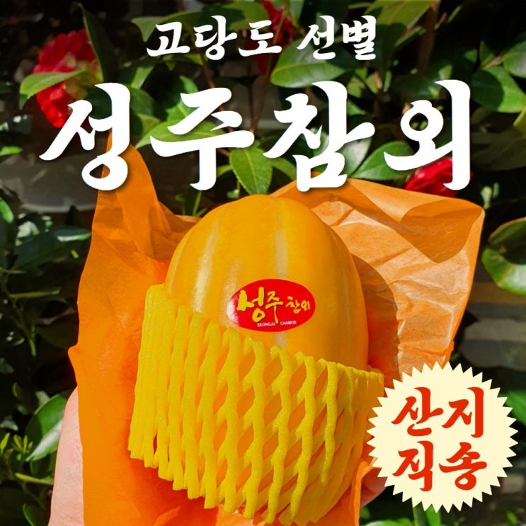 갓성비 좋은 꿀담은 명품 성주참외 5kg 10kg 참외, 사이즈 랜덤 5kg ···