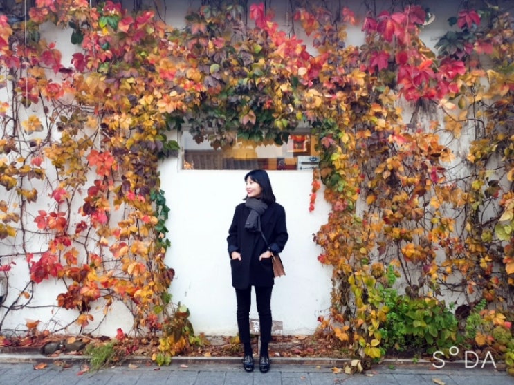  전주 전주난장